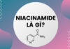 niacinamide làm gì cho làn da