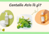 centella asiatica và các sản phẩm chăm sóc da tốt nhất