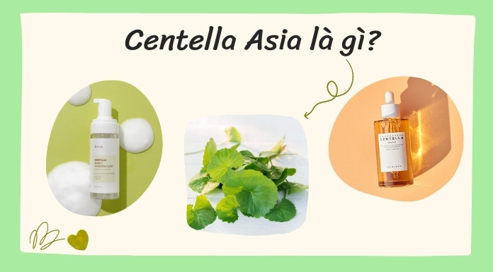 centella asiatica và các sản phẩm chăm sóc da tốt nhất